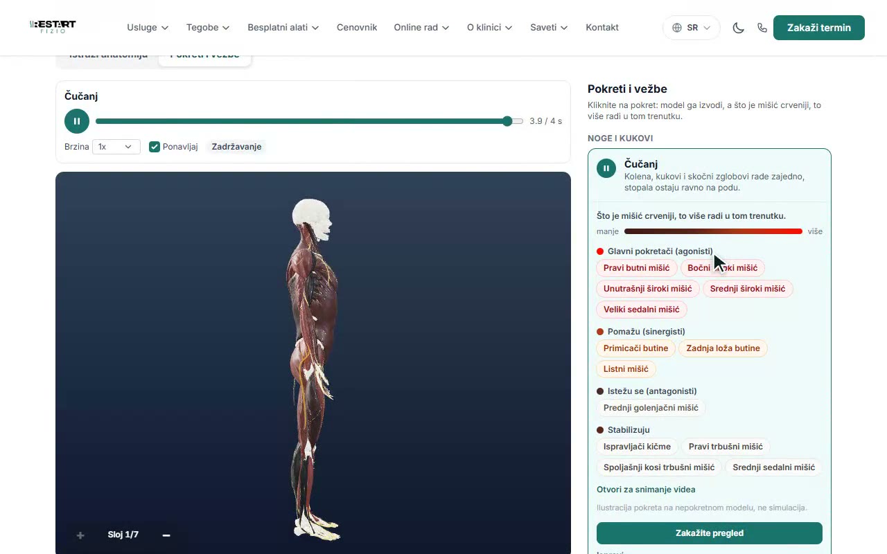 3D anatomija